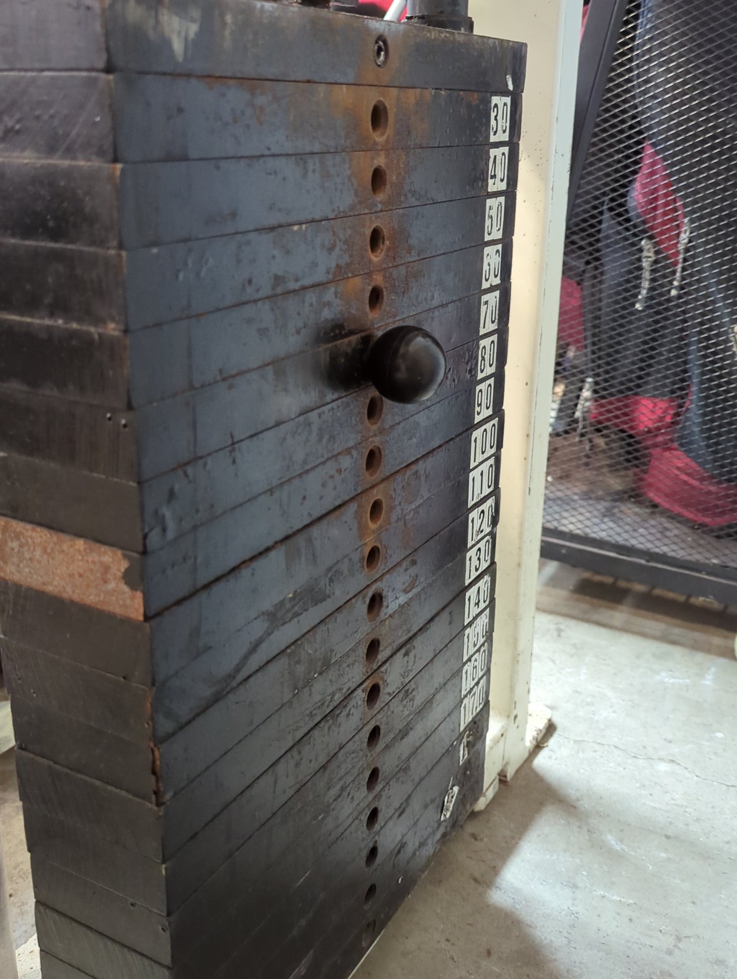 Nautilus 1st Generation Double Shoulder